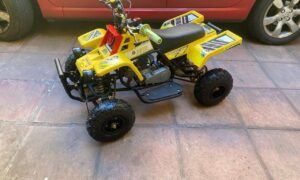 49cc Kids Banshee