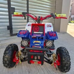 49cc Gas Powered Mini Banshee for Kids