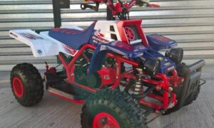 49cc Gas Powered Mini Banshee for Kids