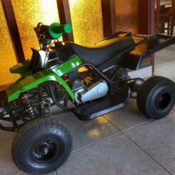 Kids 49cc Banshee