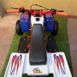 Mini 49cc Banshee