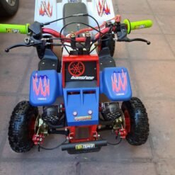 49cc Gas Banshee for Kids