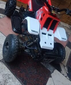 49cc Mini Banshee Quad