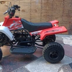 49cc Mini Banshee Quad