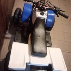 Best 49cc Banshee Kids Mini ATV 49cc Banshee Kids ATV