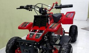 49cc Gas Dirt Bike for Kids