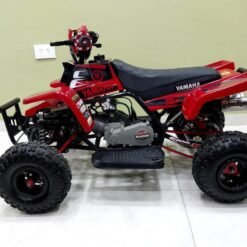 49cc Gas Dirt Bike for Kids