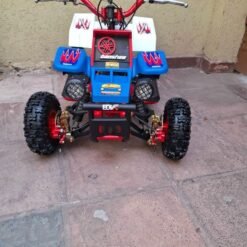 49cc Gas Powered Banshee