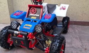 49cc Gas Powered Banshee