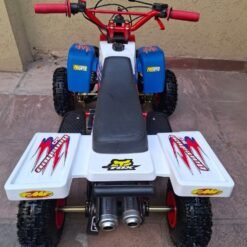 49cc Gas Powered Banshee