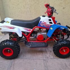 49cc Gas Powered Banshee