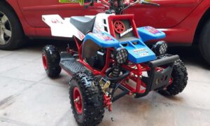 Kids 49cc Gas ATV