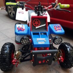 Kids 49cc Gas ATV