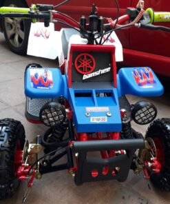 Kids 49cc Gas ATV