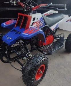 49cc Gas Powered Banshee Bike for Kids