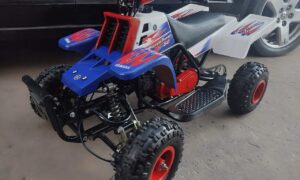 49cc Gas Powered Banshee Bike for Kids