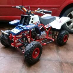 49cc Gas Mini Banshee