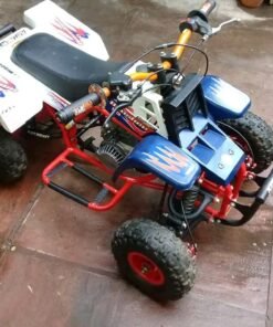 49cc Gas Mini Banshee