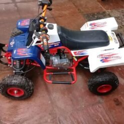 49cc Gas Mini Banshee
