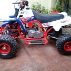 49cc Gas Mini Banshee