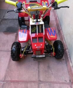 Kids 49cc Dirt Bike