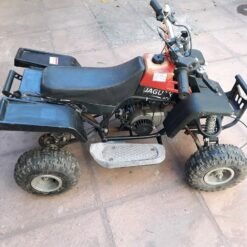 49cc Banshee Kids Quad