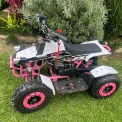 Kids 49cc Banshee ATV