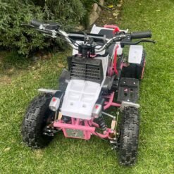 Kids 49cc Banshee ATV