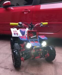 Kids 49cc Banshee