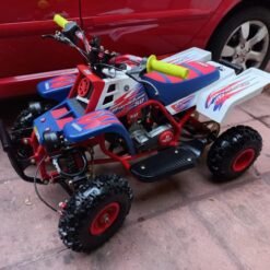 Kids 49cc Banshee