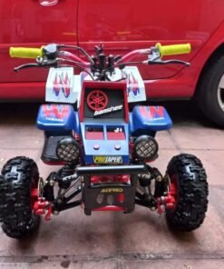 Alternative view of Best Kids 49cc Banshee