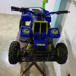 49cc Banshee Mini ATV for Kids