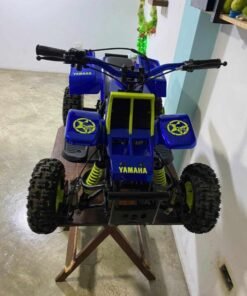 49cc Banshee Mini ATV for Kids
