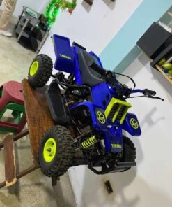 49cc Banshee Mini ATV for Kids