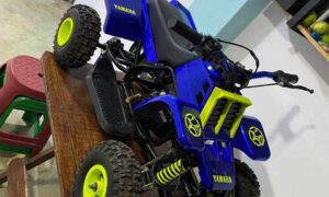 49cc Banshee Mini ATV for Kids