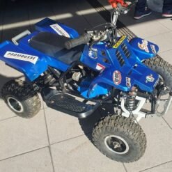 49cc Gas Powered Kids Banshee