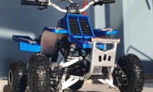 49cc Gas Powered Kids Banshee