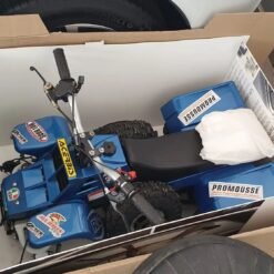 49cc Gas Powered Kids Banshee