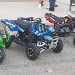 49cc Gas Powered Kids Banshee