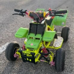 49cc Kids Banshee ATV