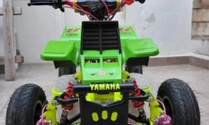 49cc Kids Banshee ATV