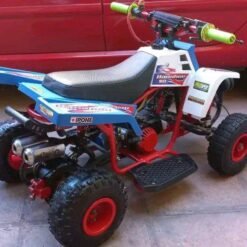 Buy 49cc Gas Powered Kids Quad