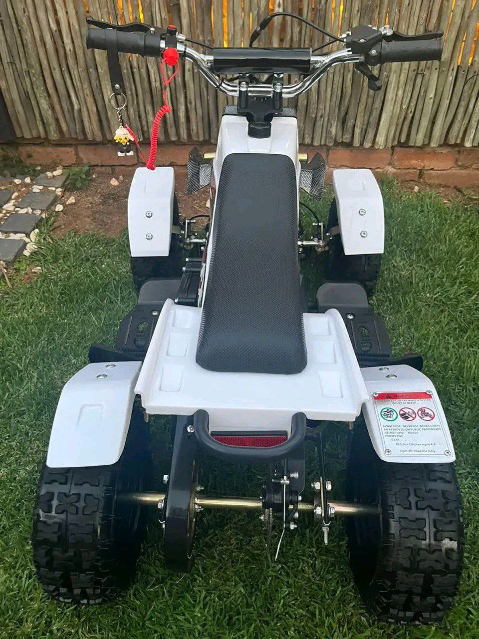 49cc Mini Banshee Quad for Kids