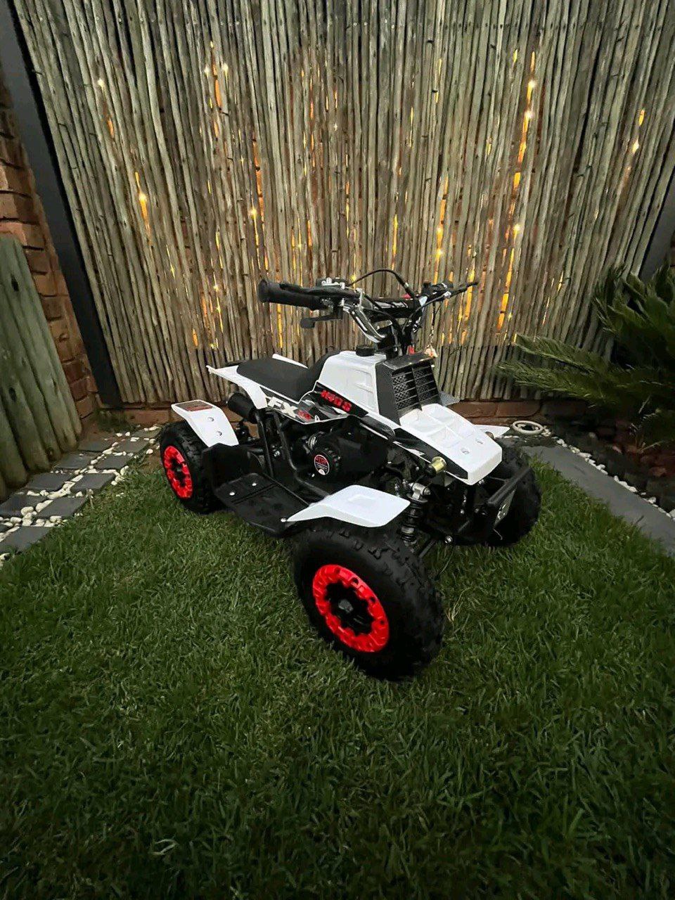 49cc Mini Banshee Quad for Kids