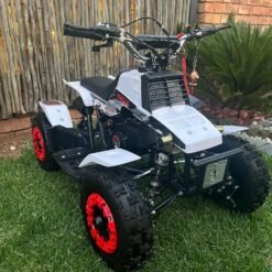 49cc Mini Banshee Quad for Kids