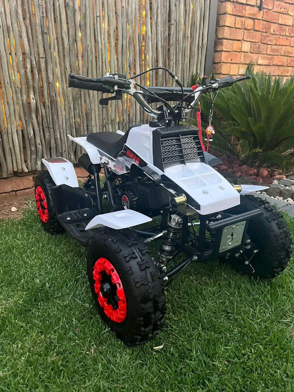 49cc Mini Banshee Quad for Kids