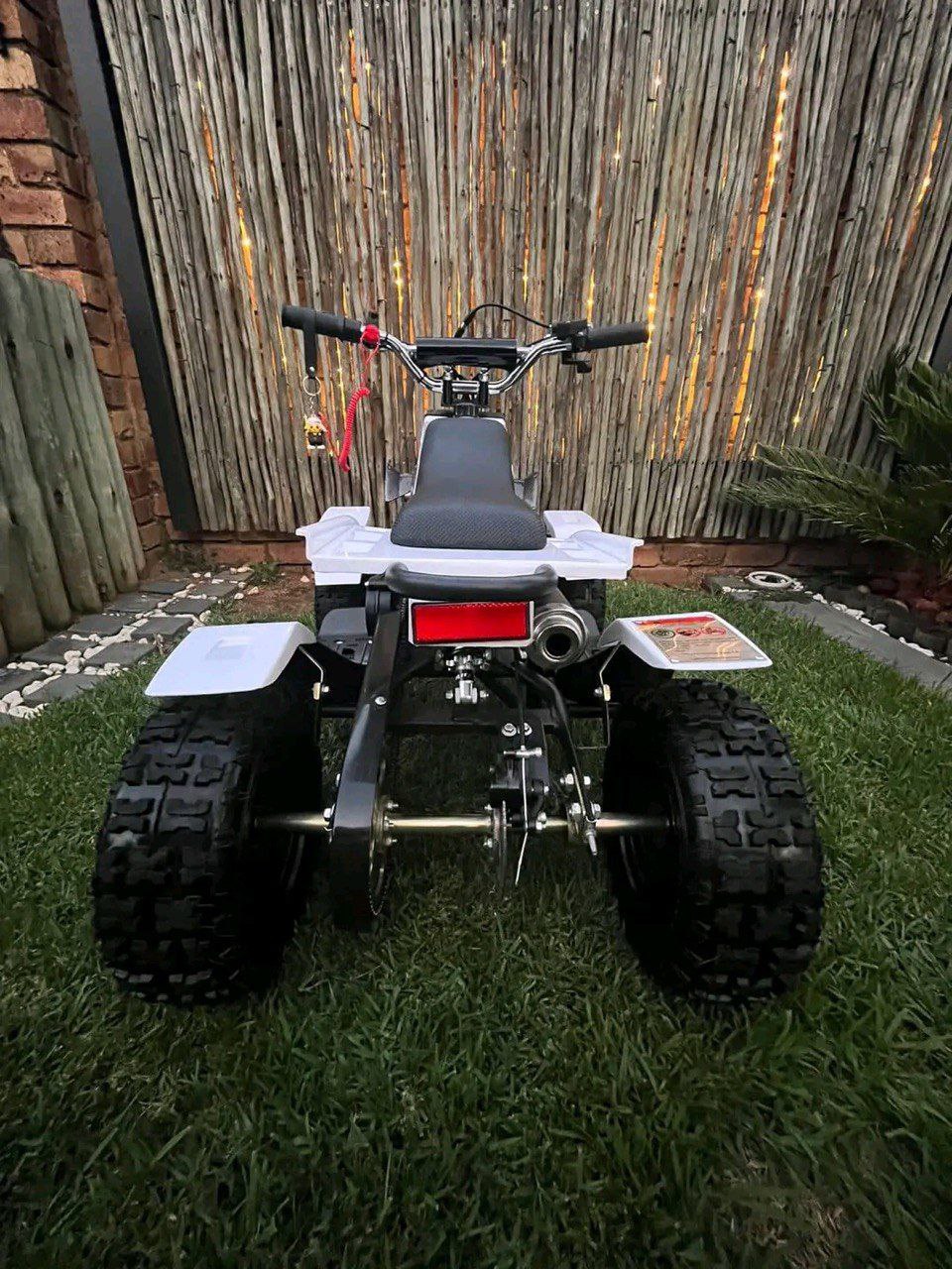 49cc Mini Banshee Quad for Kids