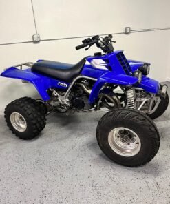 2000 banshee