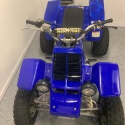 2002 Yamaha banshee