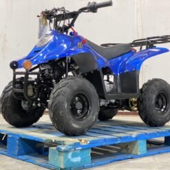 Coolster B1 110cc Kids ATV